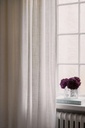 transparence-cavalier-ambiance