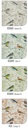 fusion-siento-recycle-oiseaux-nuancier