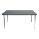 TABLE RESINE MARIO - 90 x 160 x Ht.74 cm
