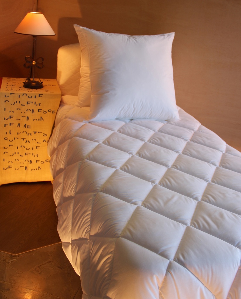 COUETTE RENOR 220x240 cm- Garnissage 200g/m²