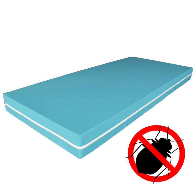 MATELAS CONFORT + PROTECTION BRAVANE VERT ANTI-PUNAISE - 90x190x10 cm